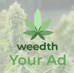 place_your_banner_250