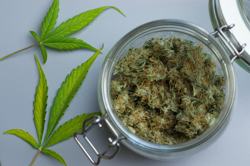 An open glass mason jar partially filled with cured cannabis buds, with freshly cut fan leaves placed nearby, ready to be added for rehydration. The setup highlights the preparation process before rehydrating the dried buds.