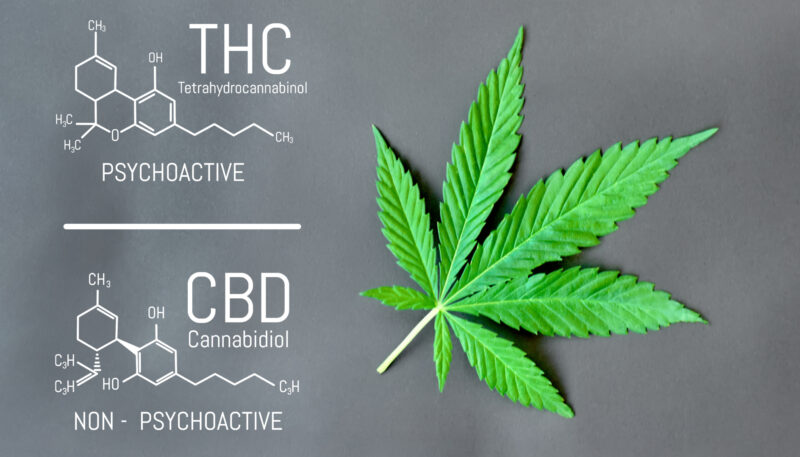 CBD and THC chemicals