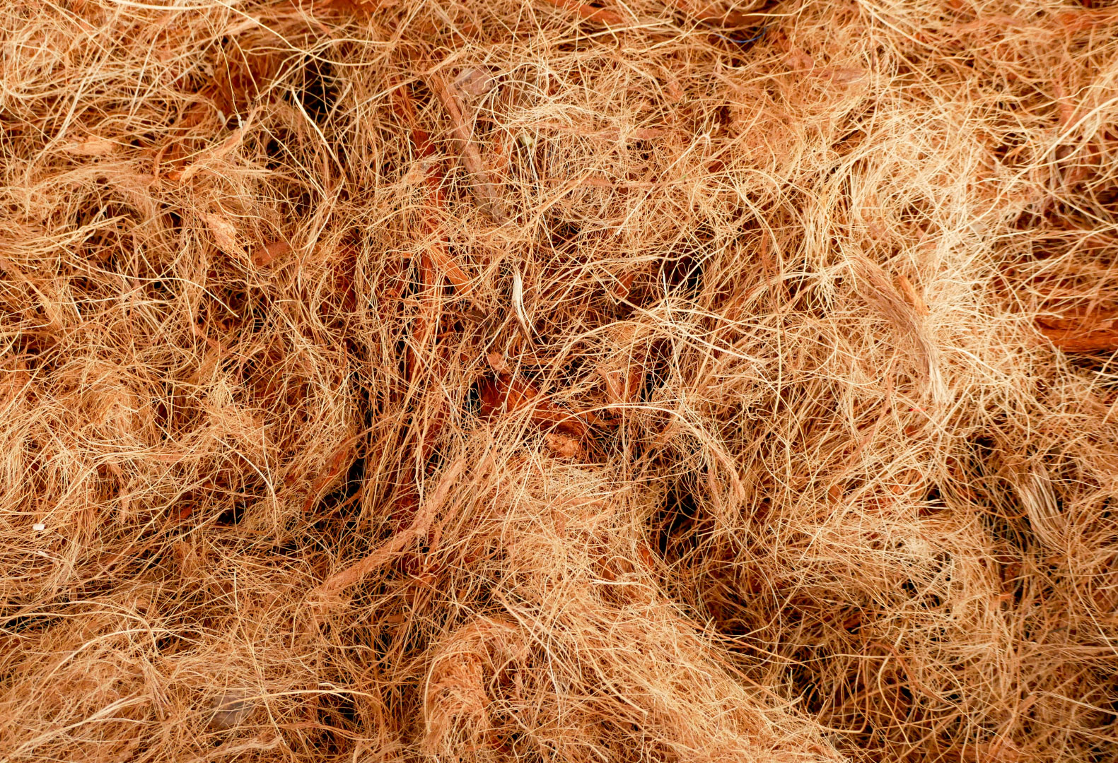 Coco coir material used as an amendment for moisture and structure.