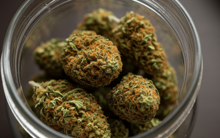 dried and fully cured cannabis buds in an open glass jar, showcasing dense structure, frosty trichomes, and vibrant green and orange hues.