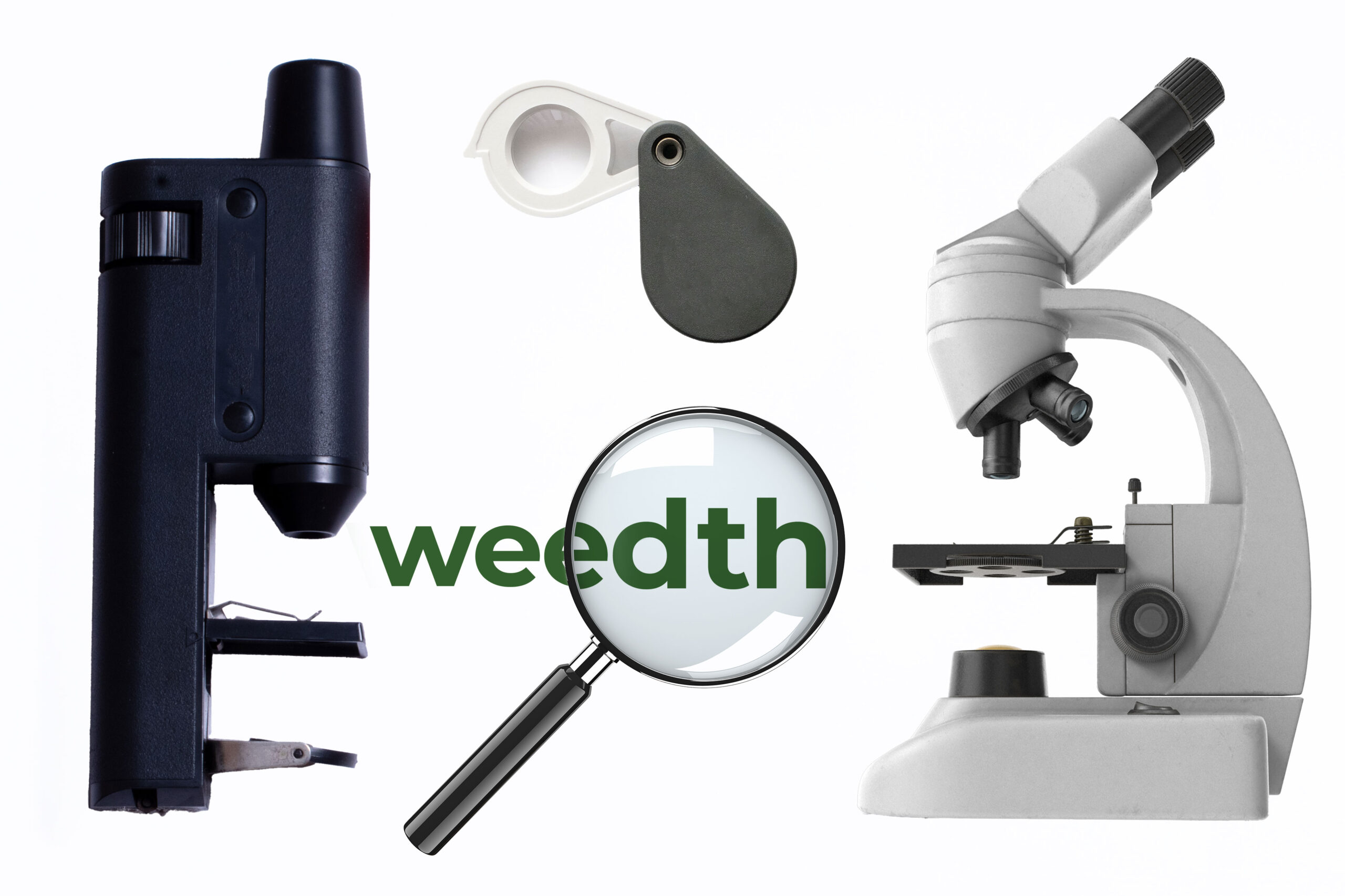 Magnifying glass, pocket microscope, and microscope used to inspect cannabis plant tissue for pests