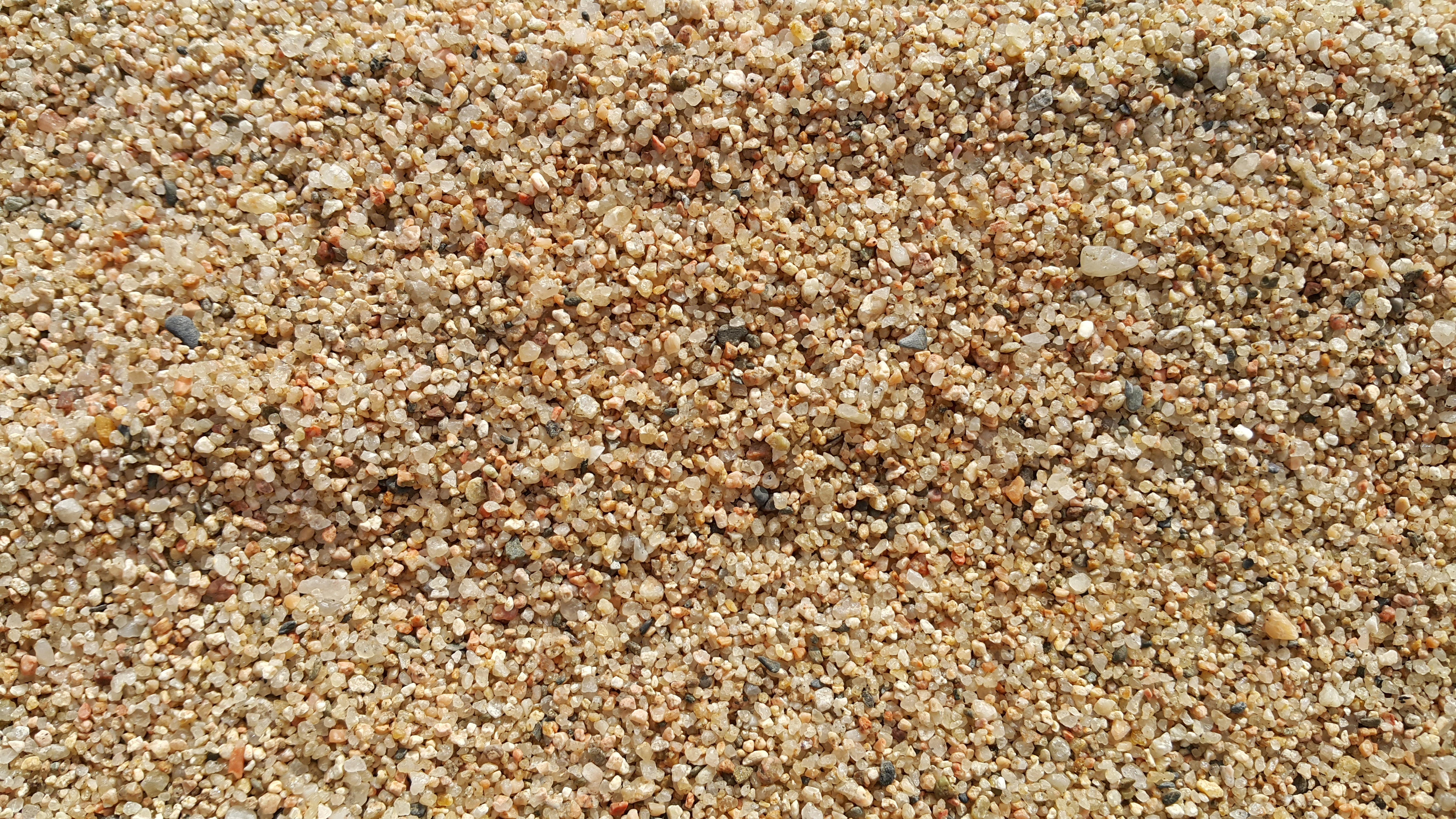 Coarse sand texture showing particle size for drainage and soil structure decisions.