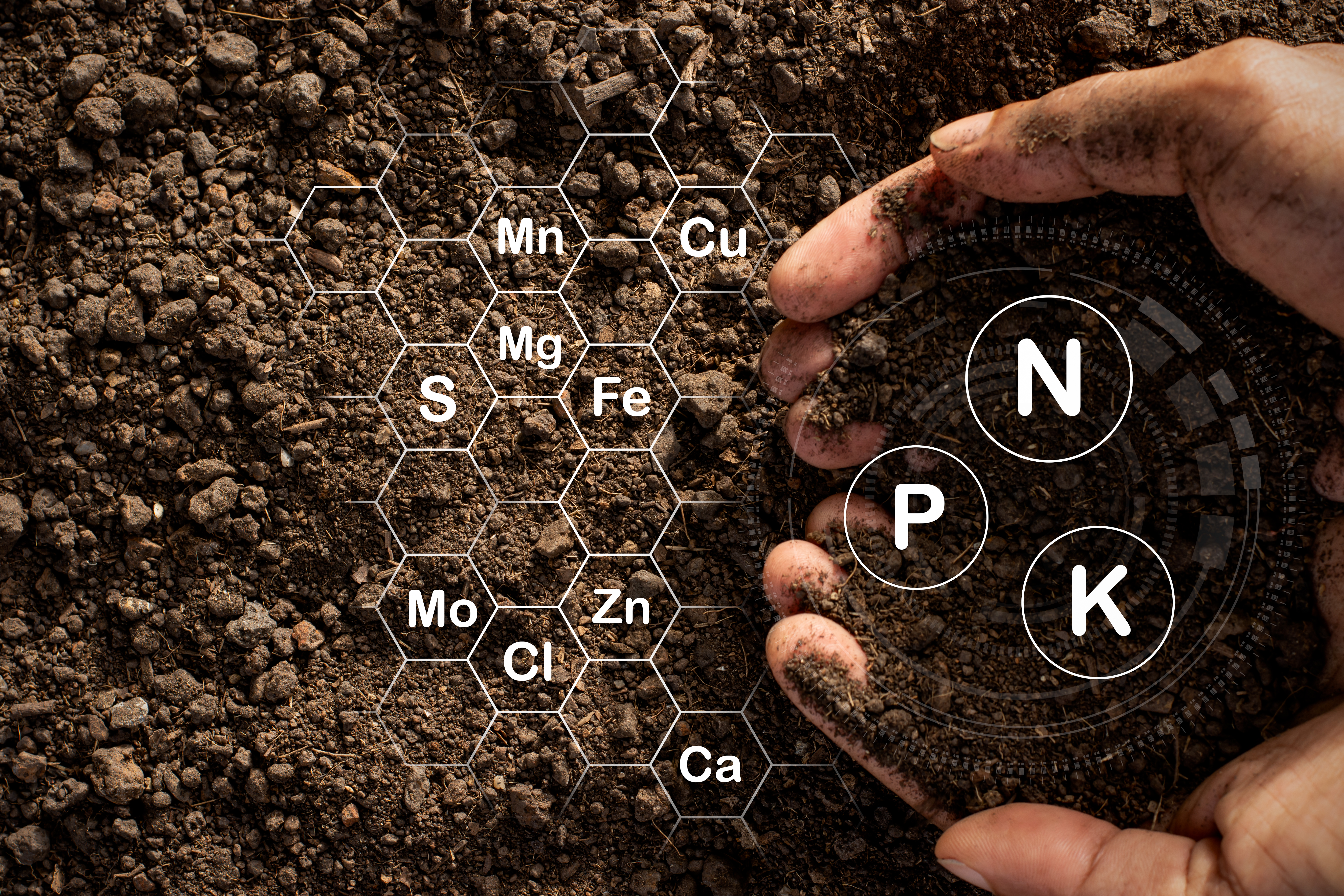 Fertile loam soil texture suitable for planting and outdoor cannabis assessment.