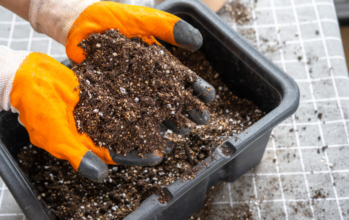 Ingredients for the soil of home potted plants, peat, earth, sand, perlite, vermiculite, coconut. A mixture for planting plants in a pot florist's gloved hands are mixing in a container