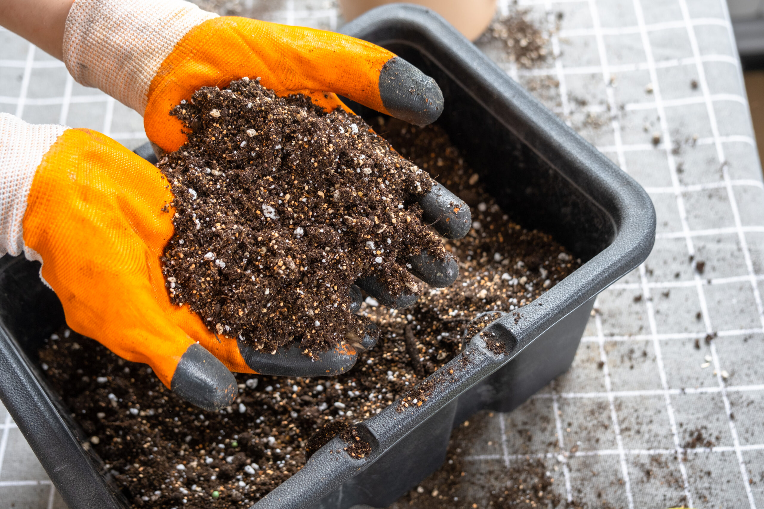 Ingredients for the soil of home potted plants, peat, earth, sand, perlite, vermiculite, coconut. A mixture for planting plants in a pot florist's gloved hands are mixing in a container