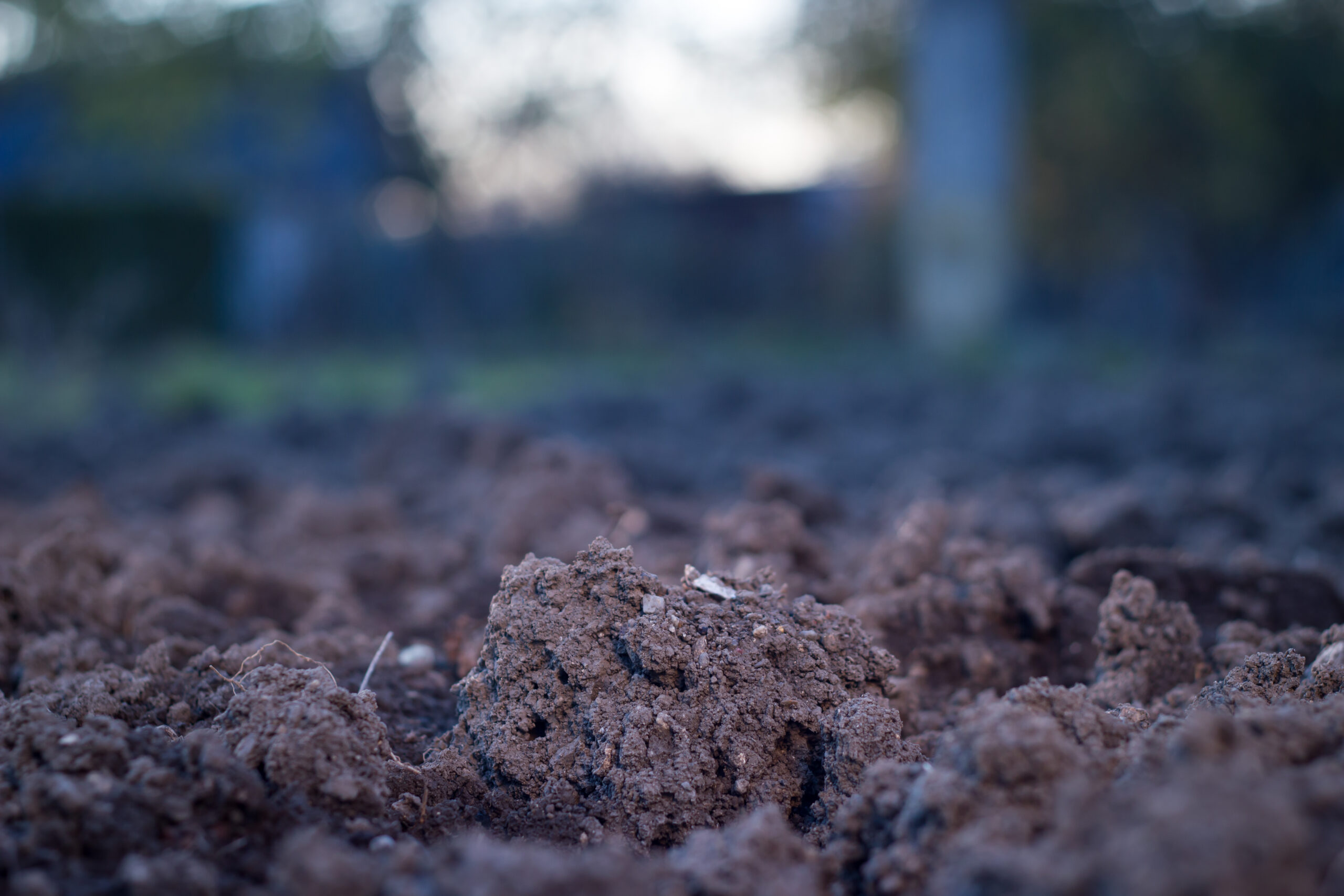 Clay-rich garden soil showing its dense mineral texture