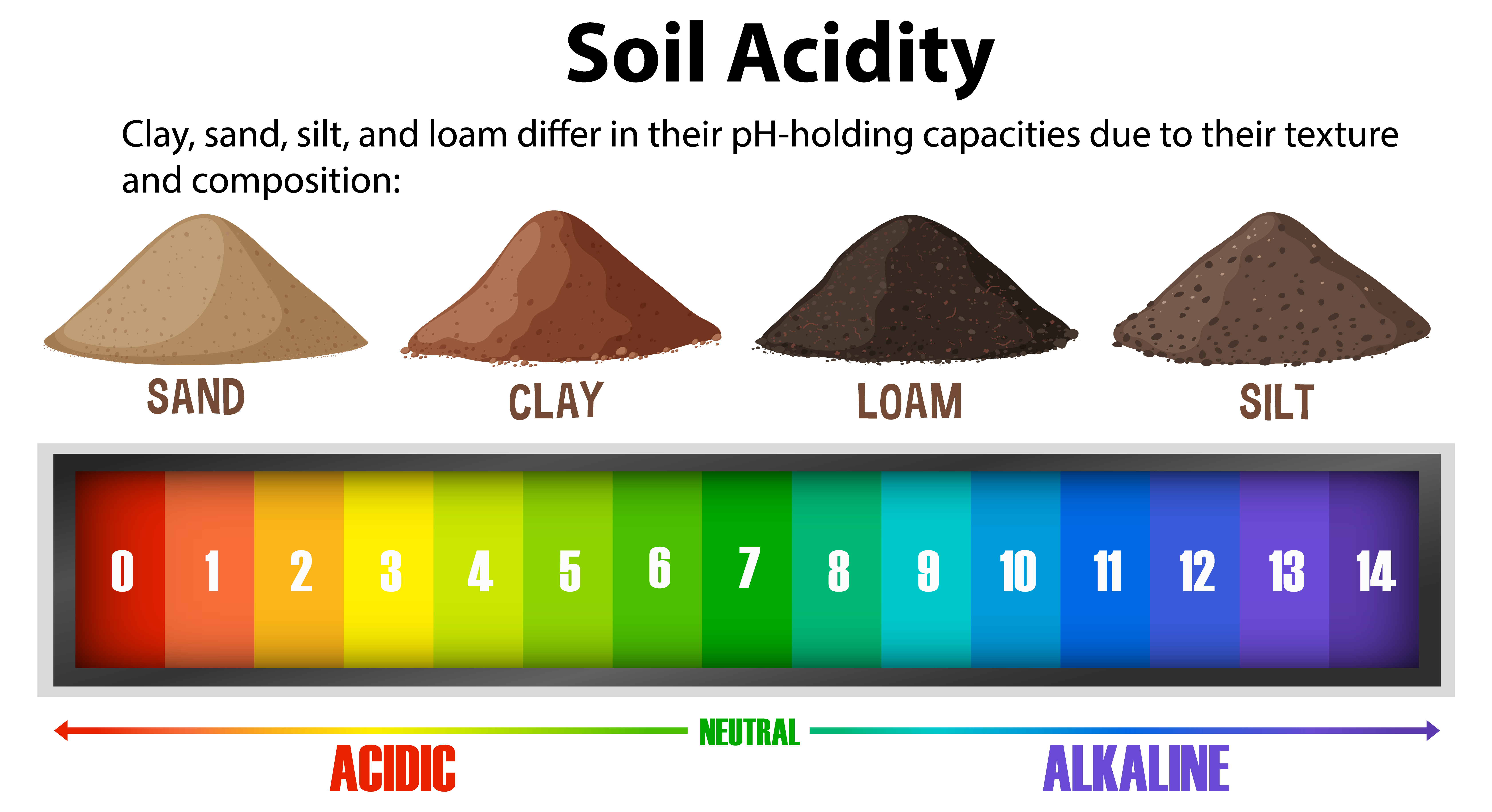 Soil acidity and composition visual used to understand mineral balance and salt buildup.