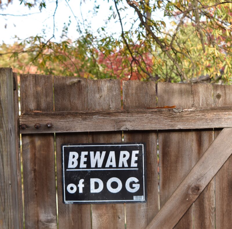 sign of dog on the wall
