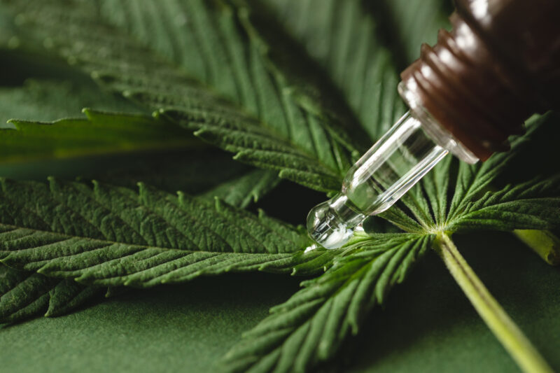 Cannabis extract on cannabis leaves green background, close up.