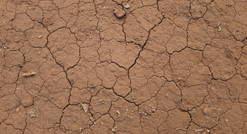 Dry clay soil with visible surface cracks, showing signs of poor drainage and compaction