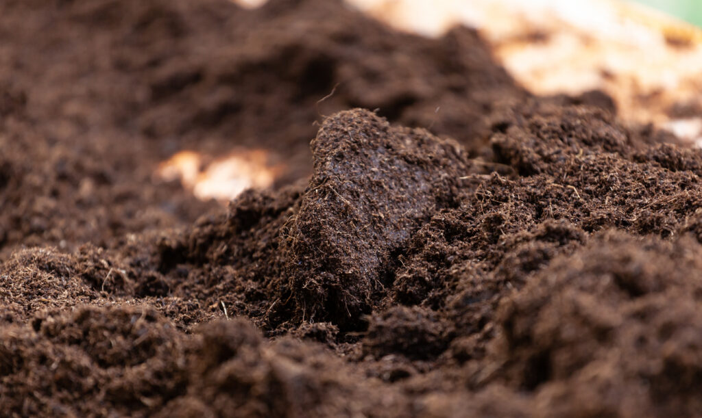 Clean potting soil suitable for cultivation, showing a light peat-based texture.