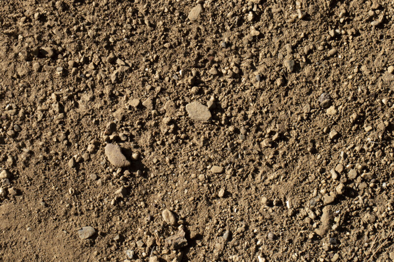 silt soil texture