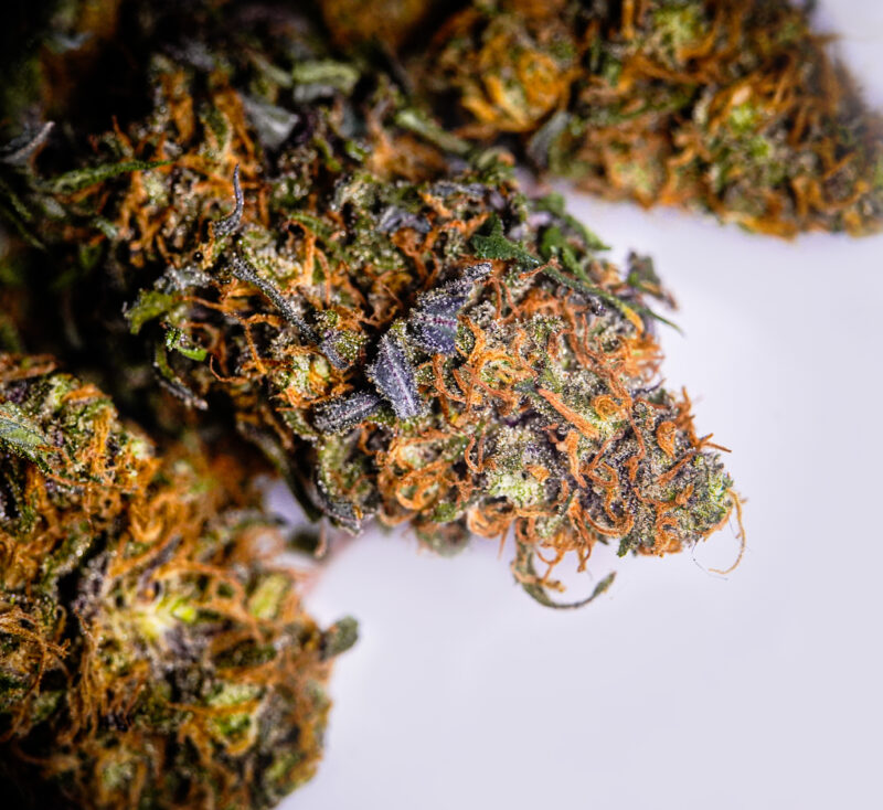 A close-up of cannabis plant with THC, a natural remedy for medicine.