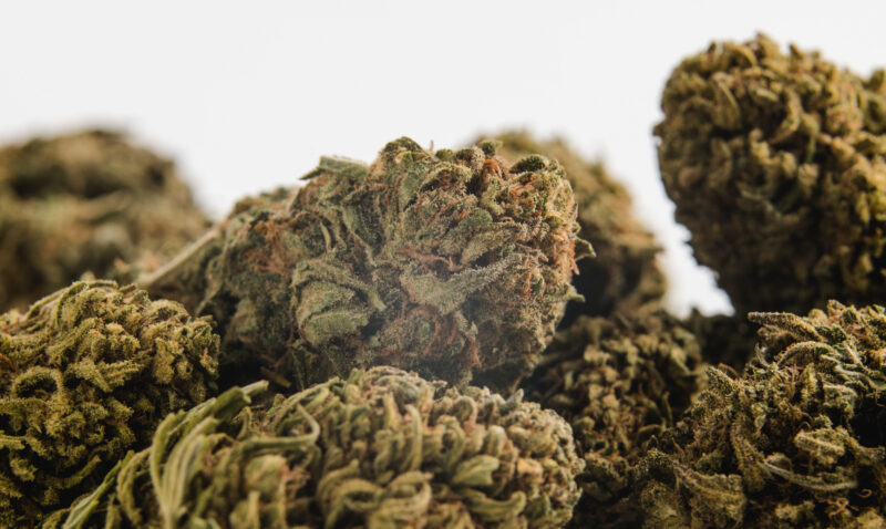 Close up view of a pile of marijuana cannabis buds. Medicinal herb and CBD concept.