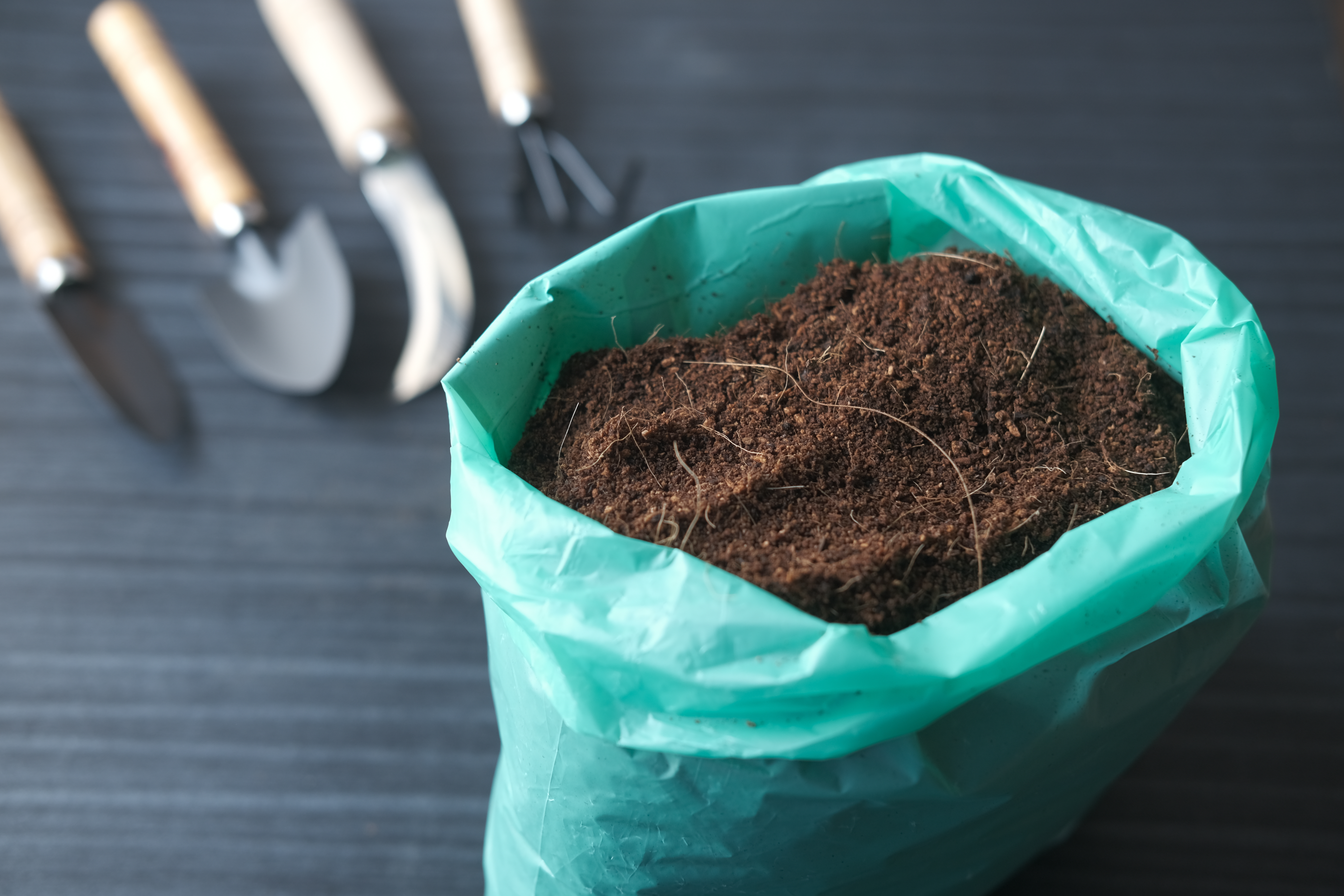 Coco peat and gardening tools prepared for a soilless cannabis growing medium.