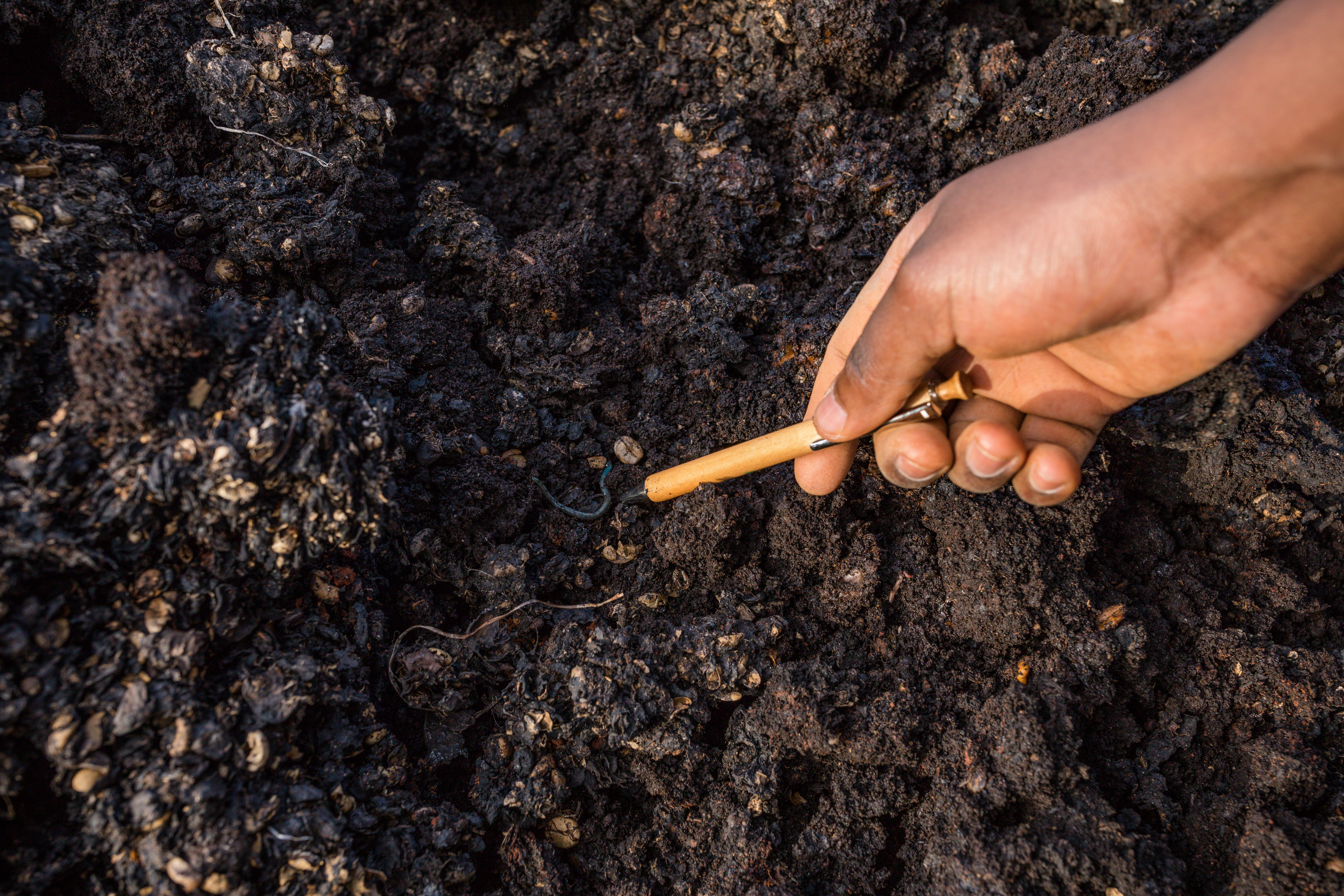 Compost manure farm amendment