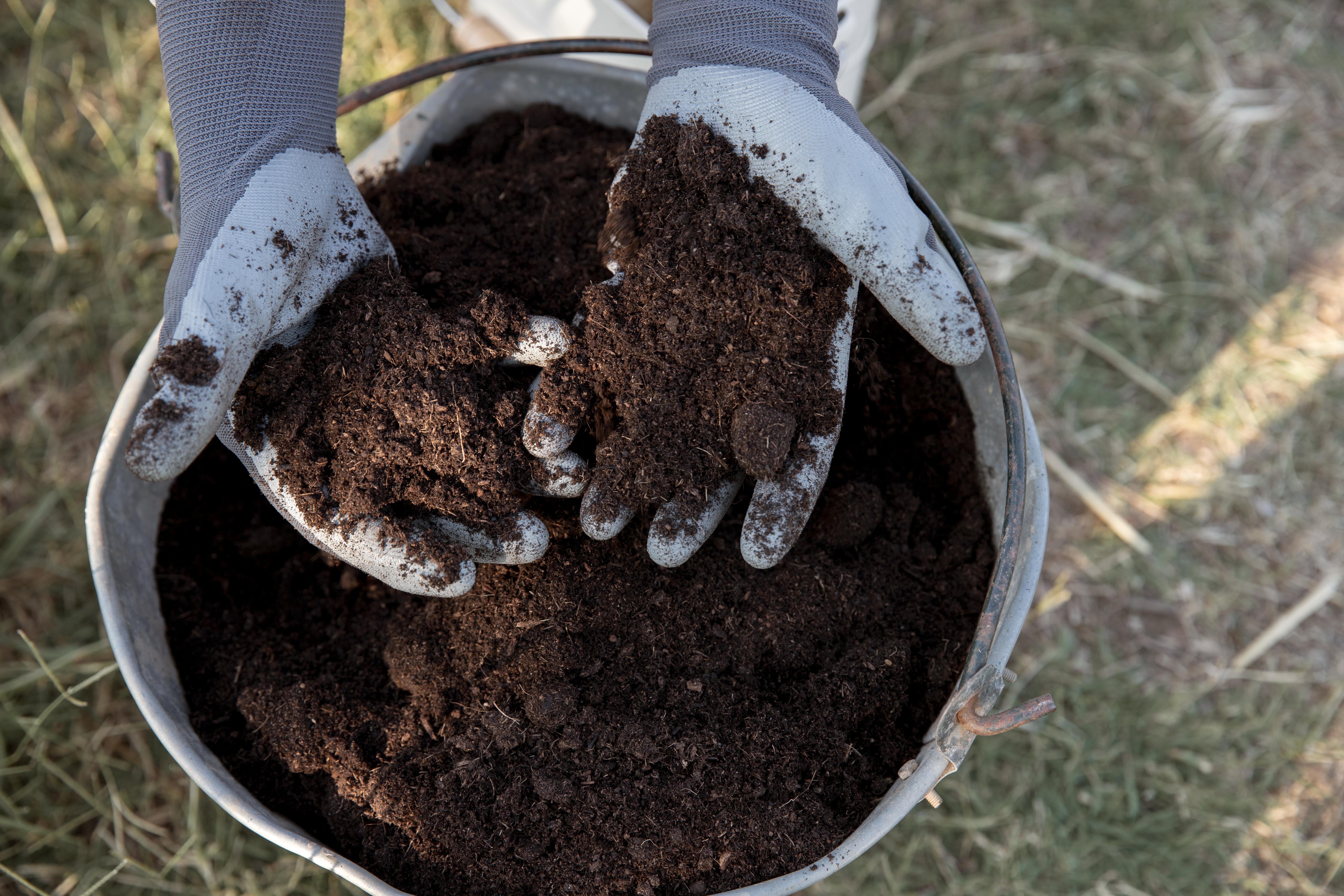 Compost still life concept for soil fertility