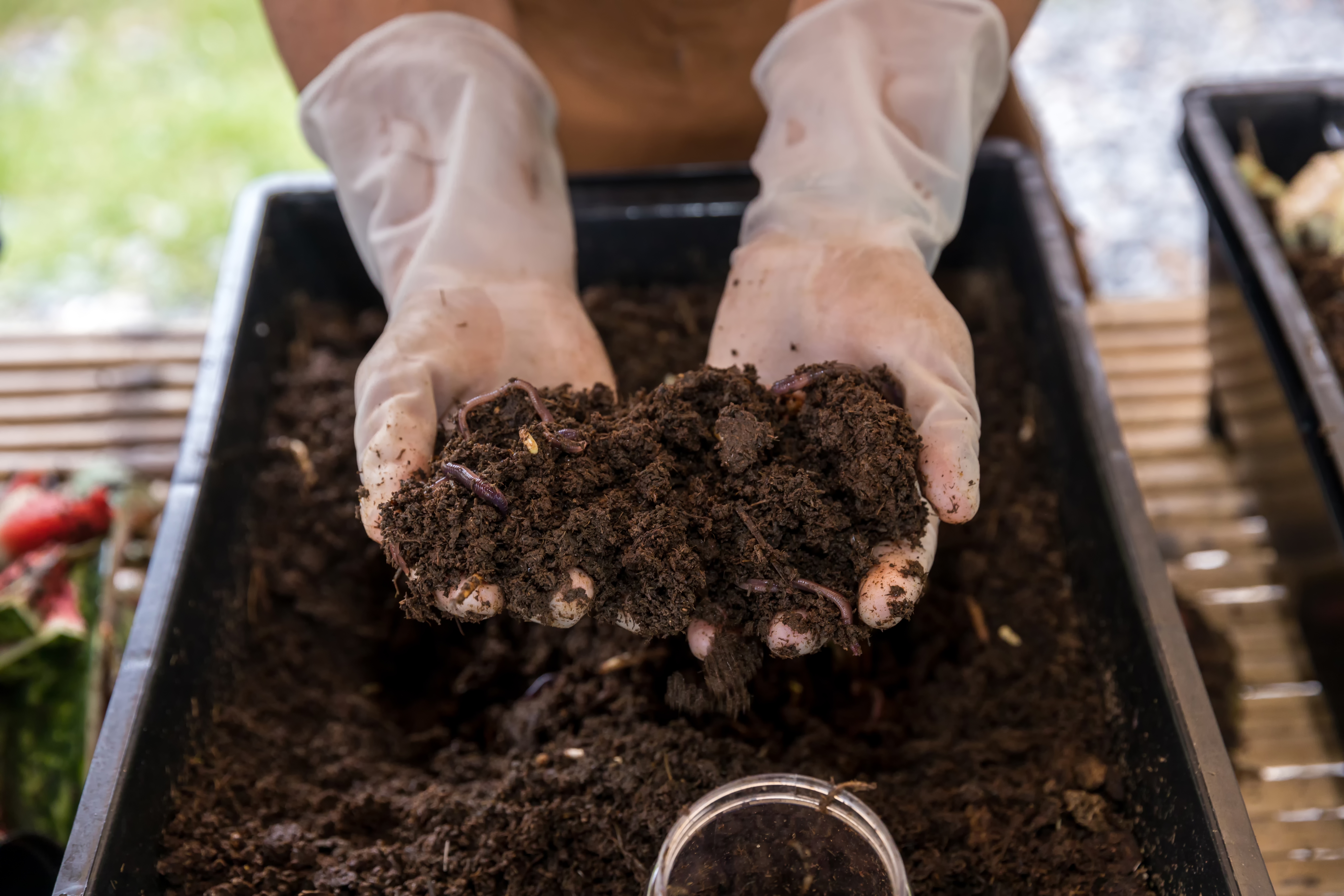 Earthworms held in hand as a sign of active outdoor soil biology.