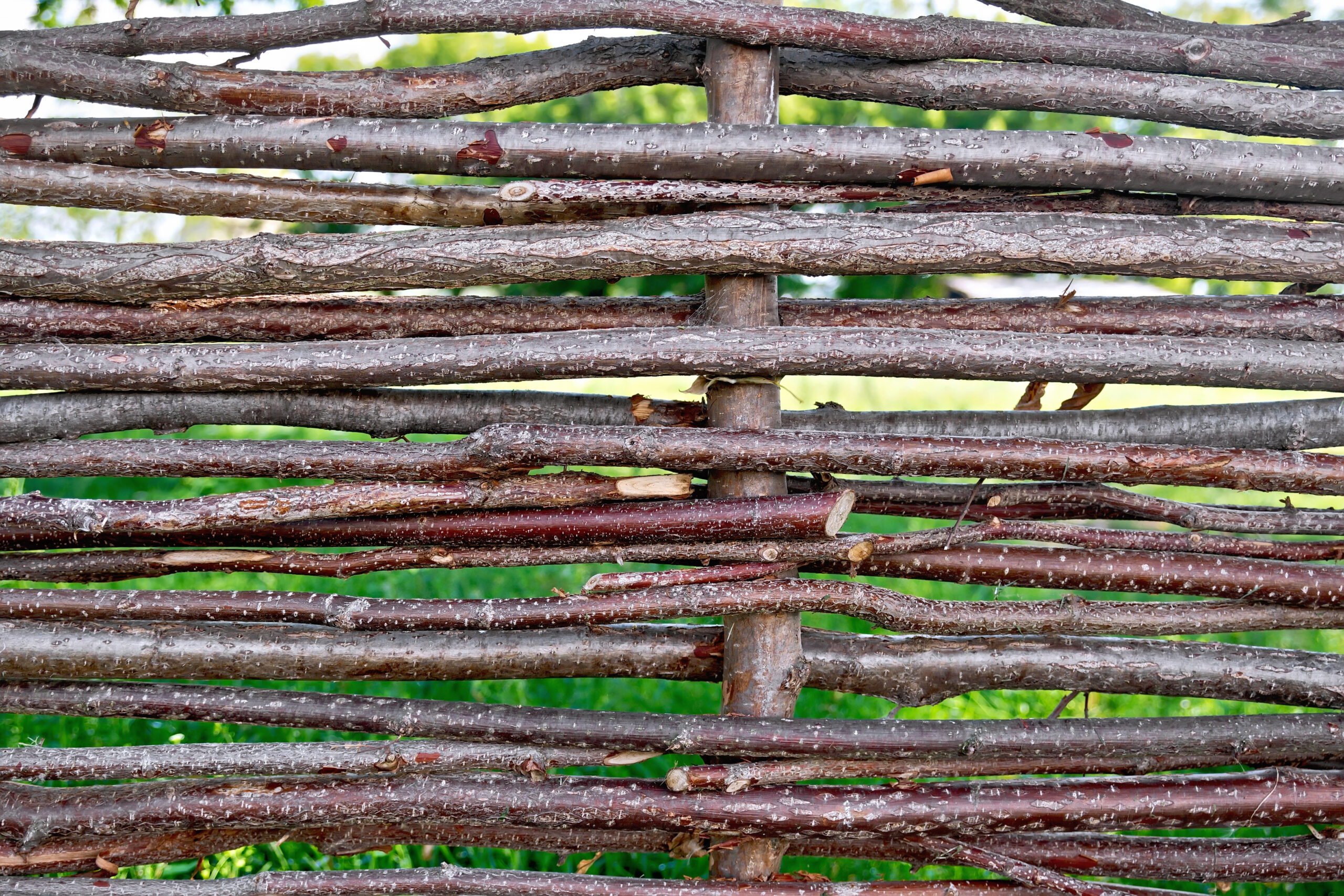 Woven willow fence with visible gaps