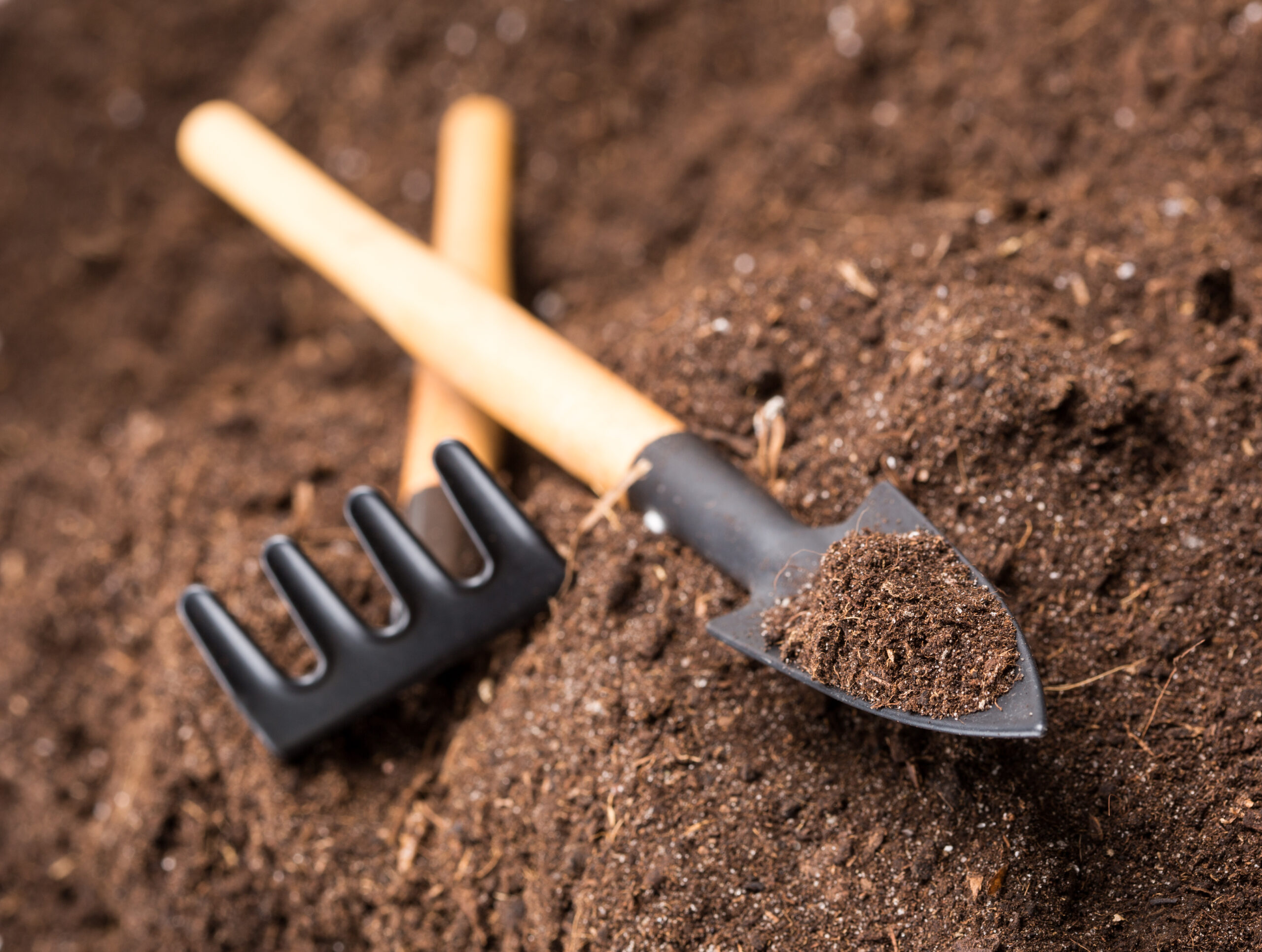Basic garden tools on soil