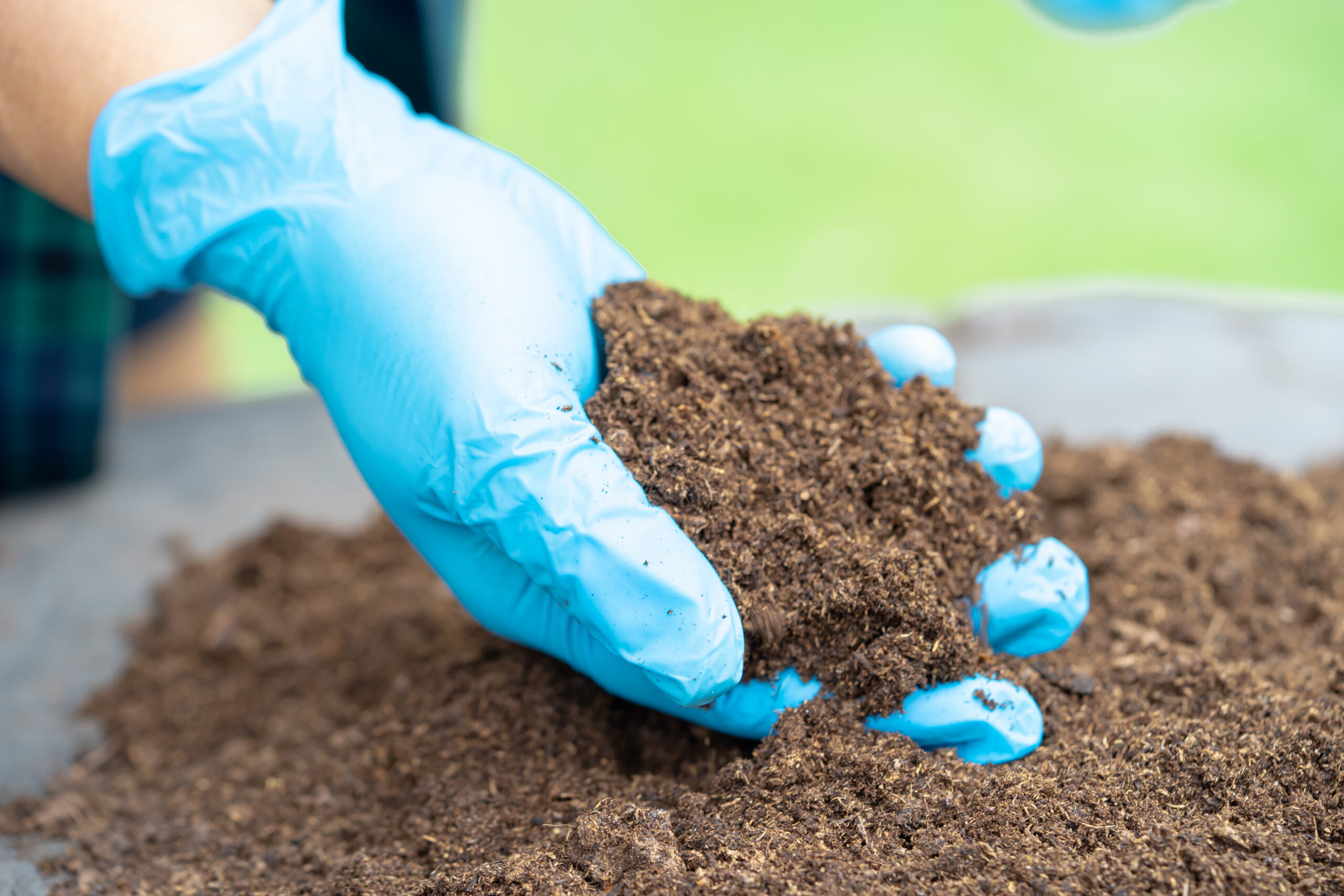 A handful of porous organic growing medium