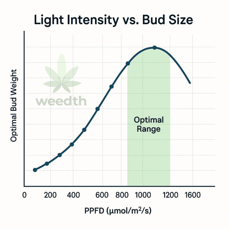 light intensity graphic, optimal bud size light graph