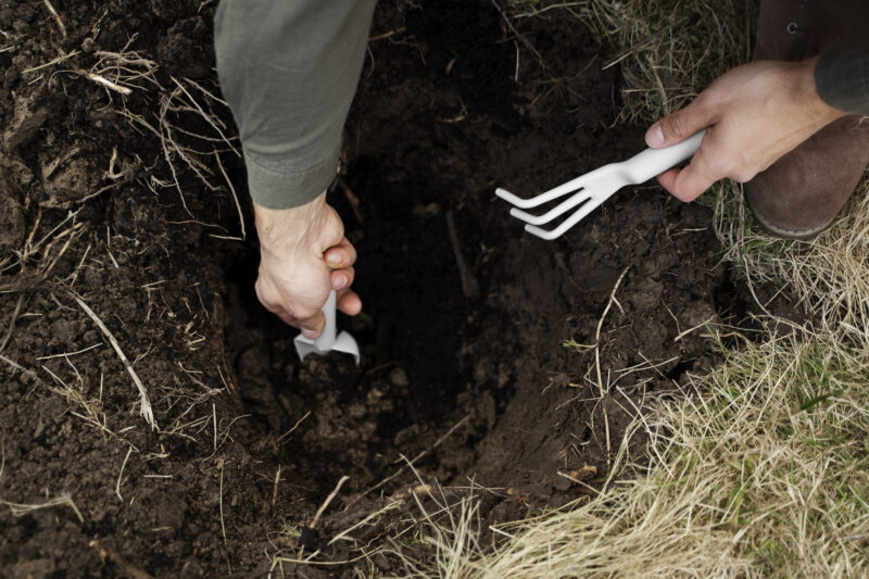 dig a hole