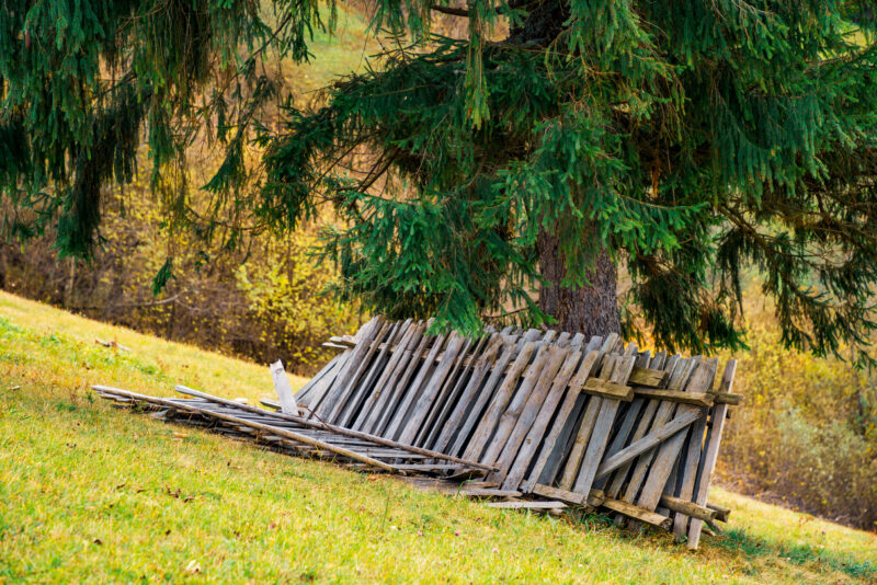 An old collapsed fence lies in a fresh green meadow near a large deciduous tree against the background of the autumn forests of the Carpathians