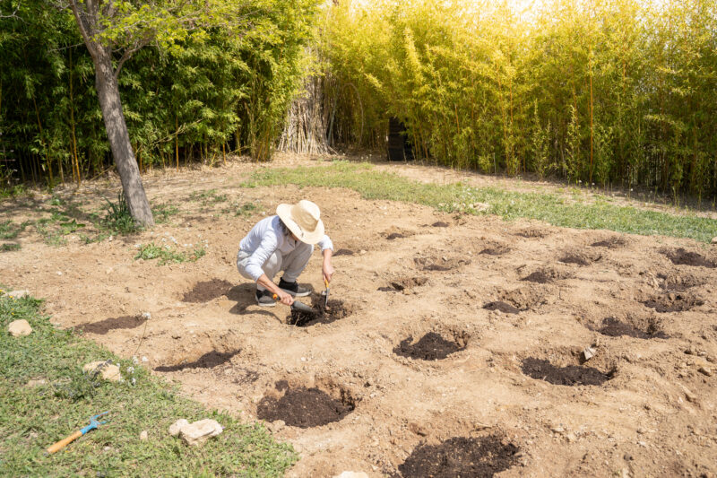 Woman cultivating eco friendly products at her garden in sunny day