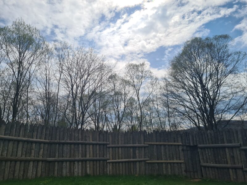 wooden windbreak fence