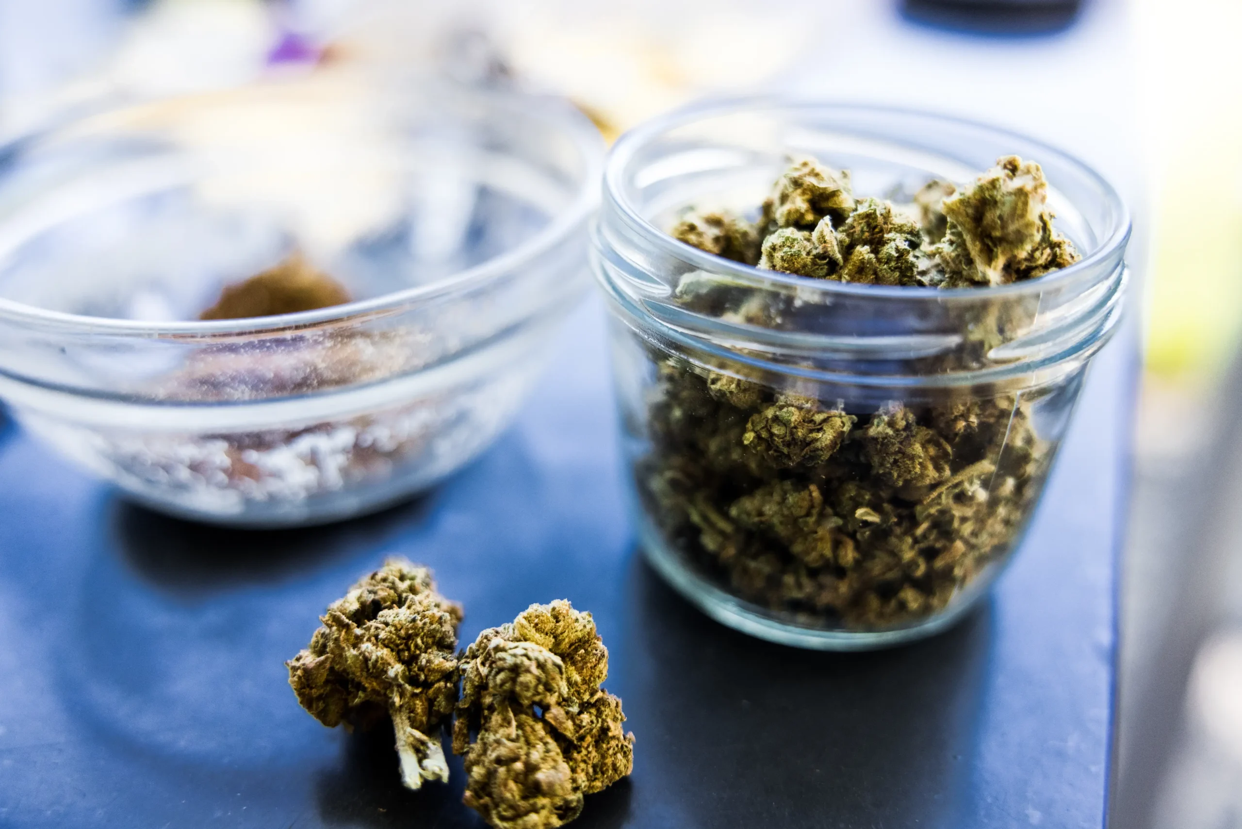 Dried herbs and cured cannabis stored in glass jars on display