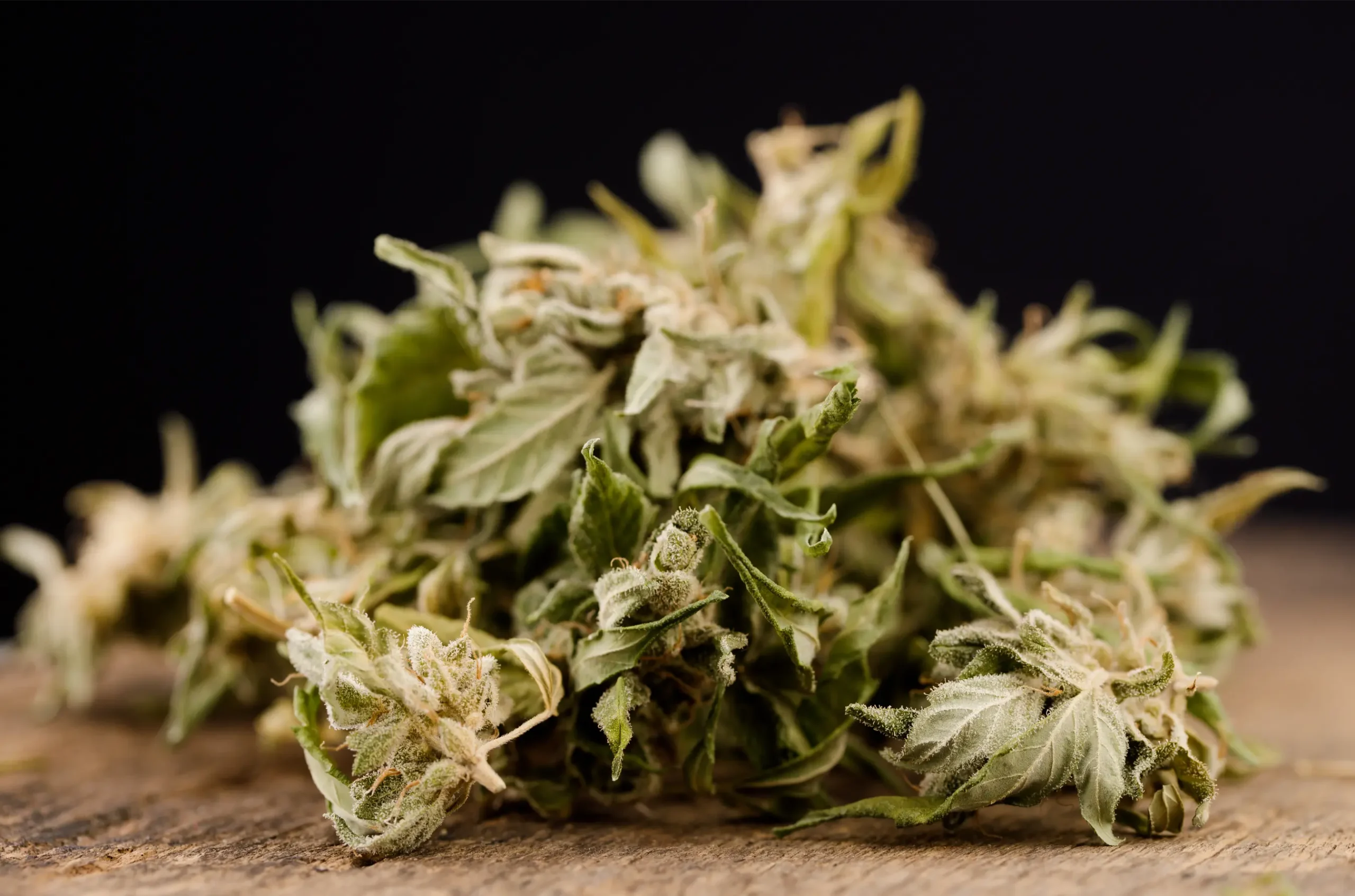 Cured hand-trimmed cannabis colas resting on wood surface showing trichome preservation