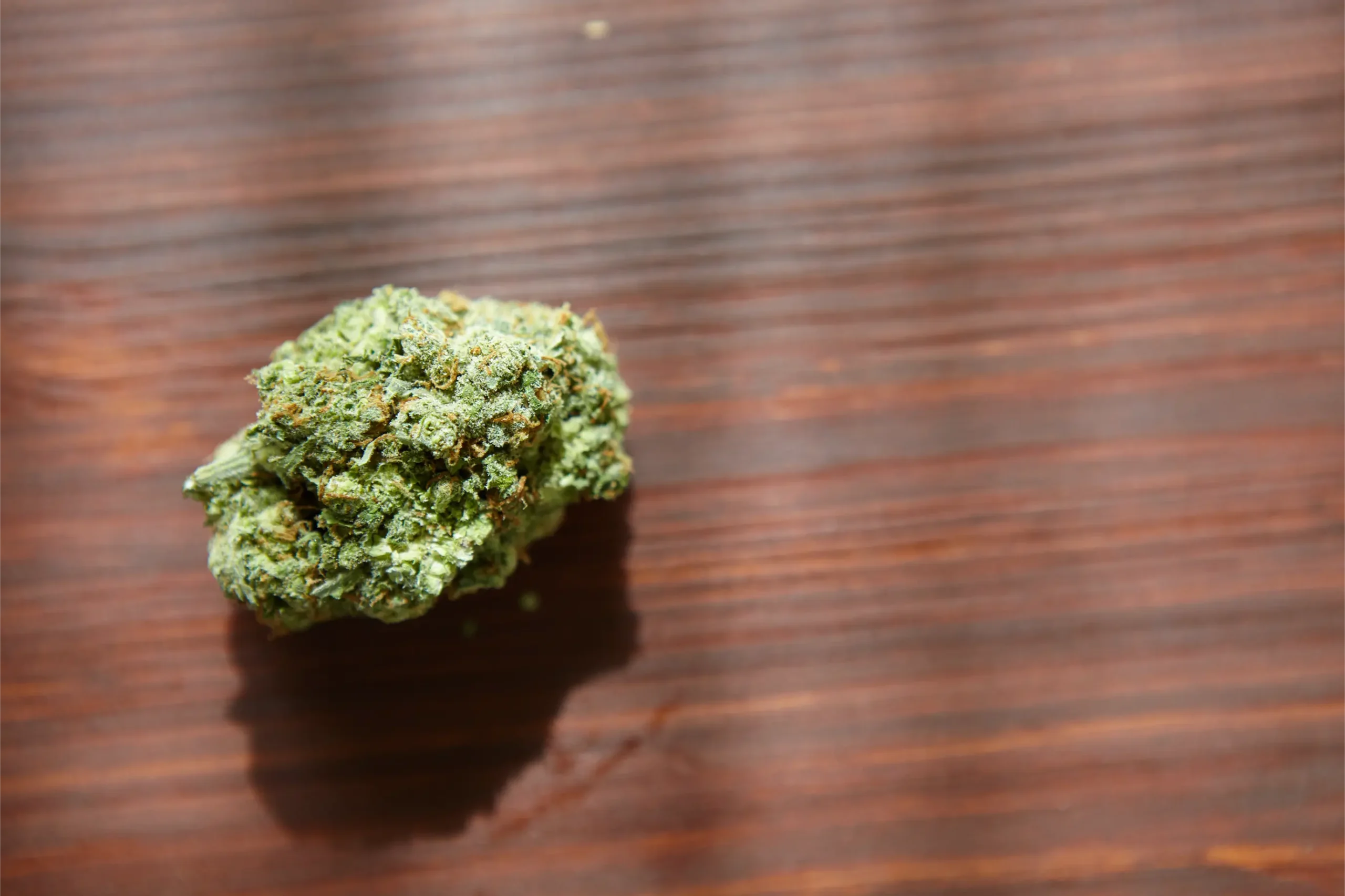 Dense frosty cannabis bud displaying thick resin coverage and exceptional floral bract expansion