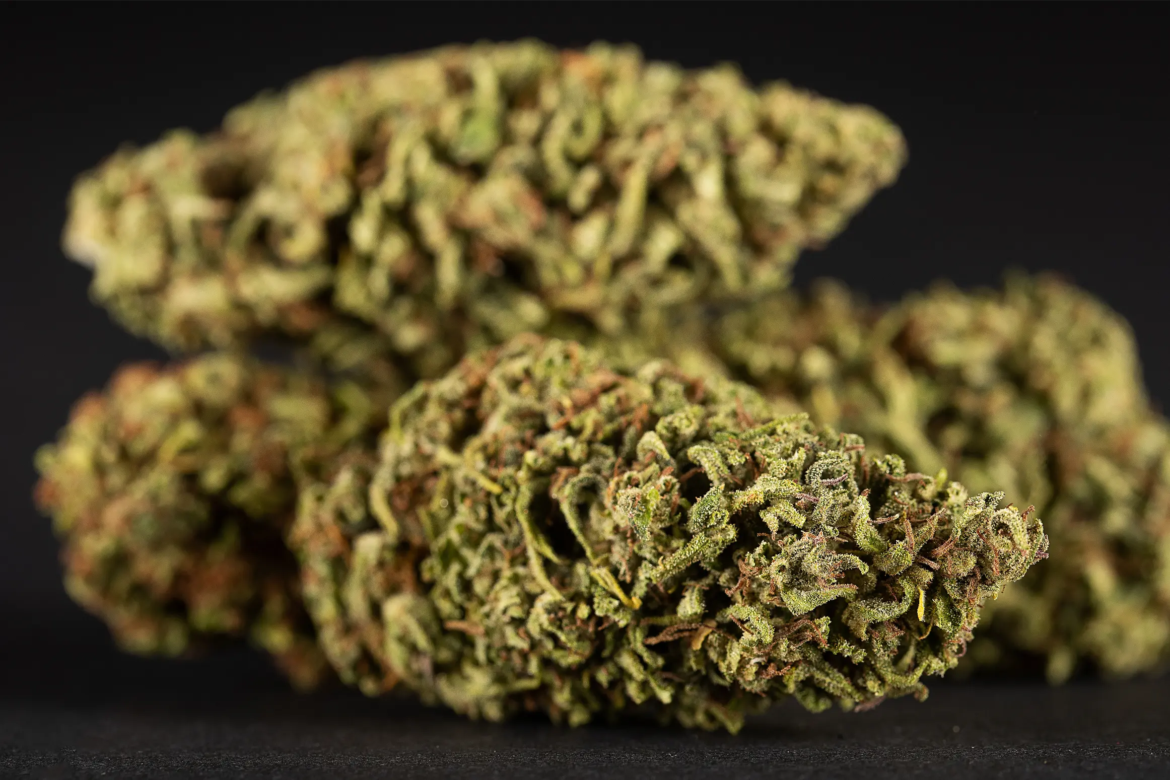 marijuana-flower-bud-for-smoking-2026-03-09-01-50-22-utc